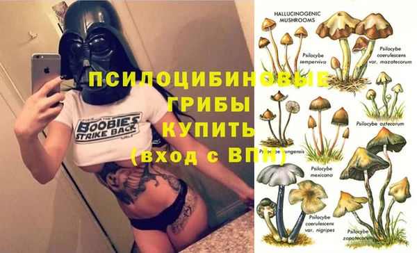 ECSTASY Алексин