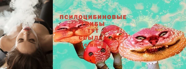 ECSTASY Алексин